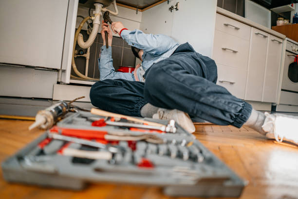 Best Commercial Plumbing Services  in Blair, WI